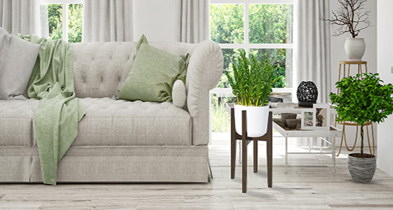 Support de plantes en bambou